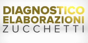 PAGHE WEB Diagnostico Elaborazioni 